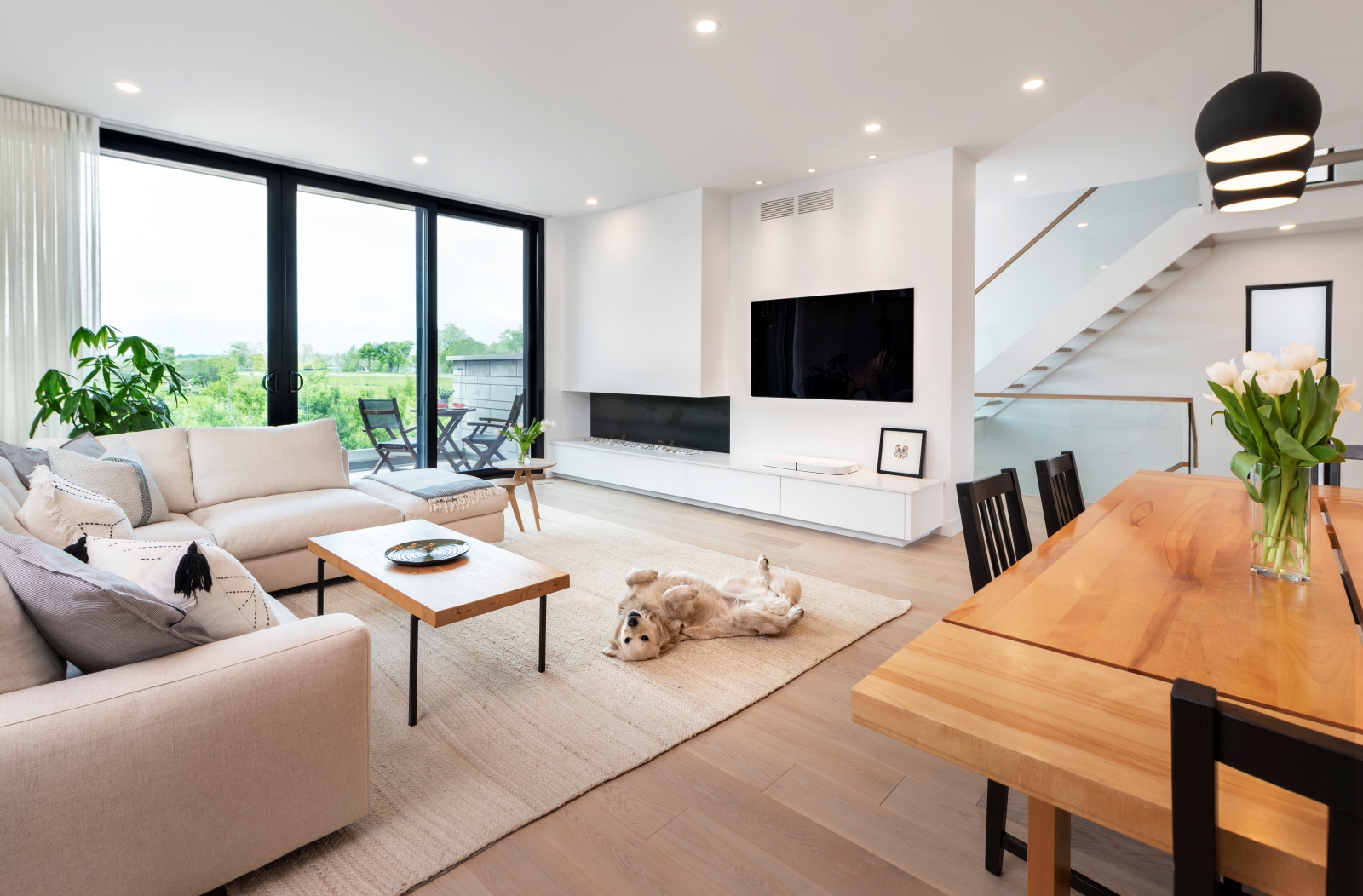 Westboro New Build - Ottawa interior design by sOInteriors (photo 3)